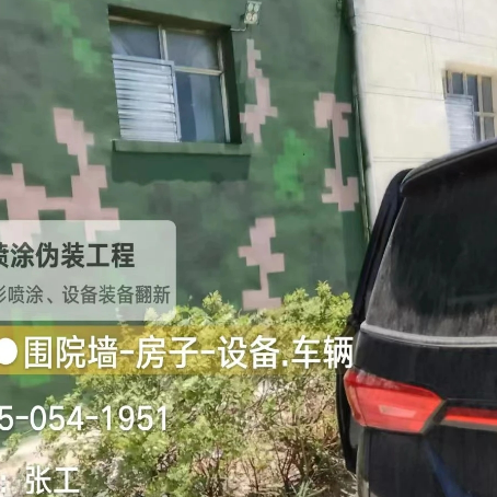 海口数码迷彩漆施工